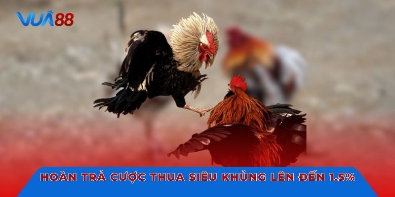 Hoàn trả cược thua siêu khủng lên đến 1.5%