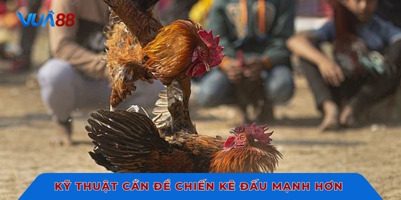 Kỹ thuật cần có để chiến kê đấu mạnh hơn
