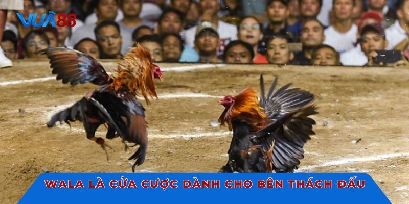Wala là cửa cược dành cho bên thách đấu